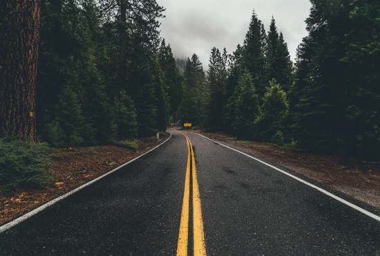 Hit the Road: Unforgettable Road Trips from Oakhurst, CA